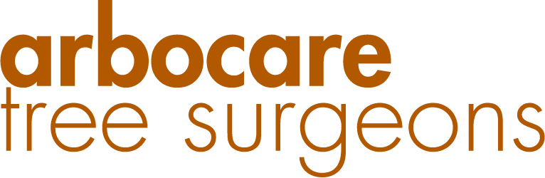 Arbocare Tree Surgeons